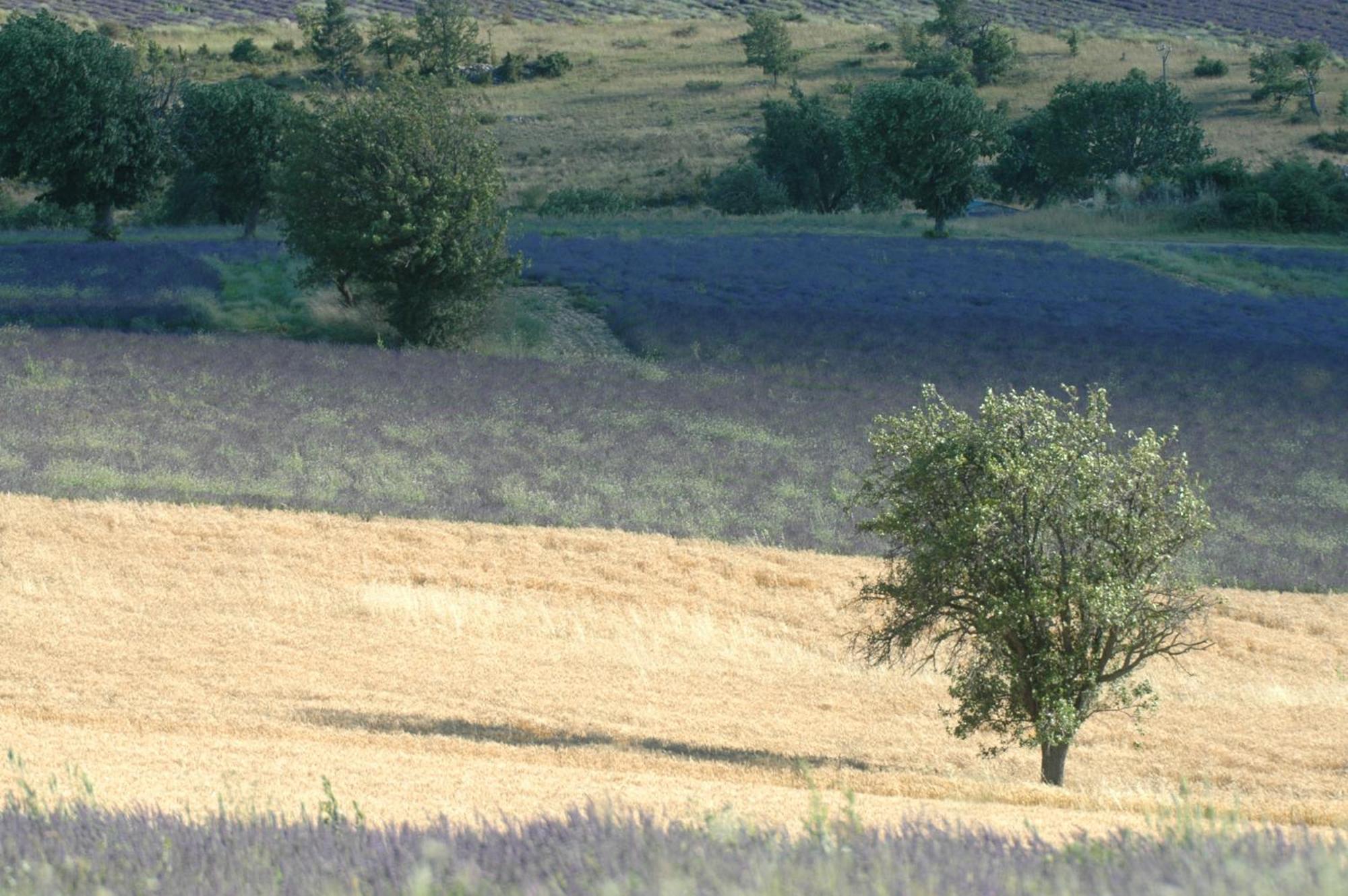 Готель La Claveliere Saint-Auban-sur-l'Ouveze Екстер'єр фото